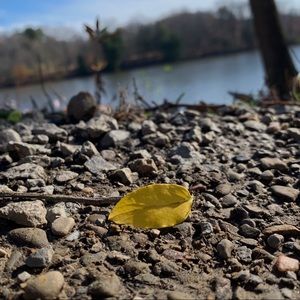 Meet your Posher, Jenafer